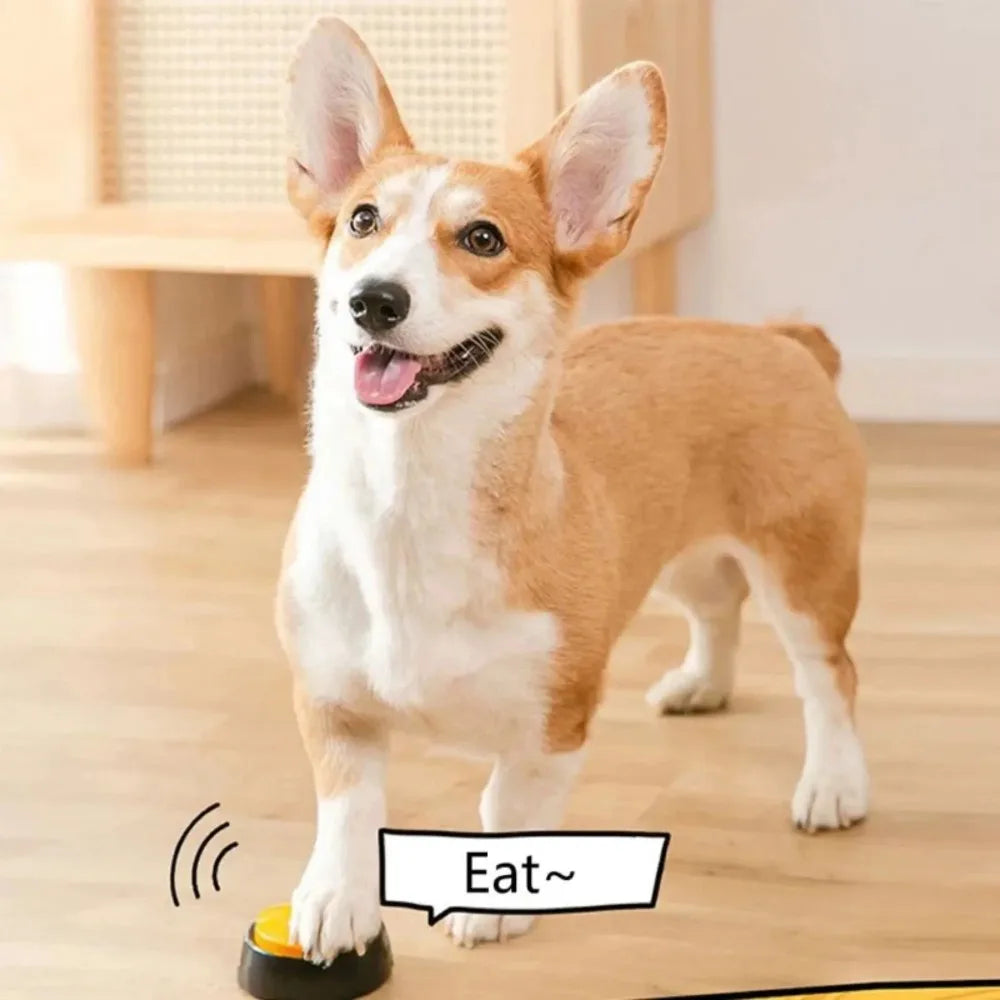 Dog communication buttons with 30-second voice recording – interactive buzzer toy for pet training and talking with dogs and cats.