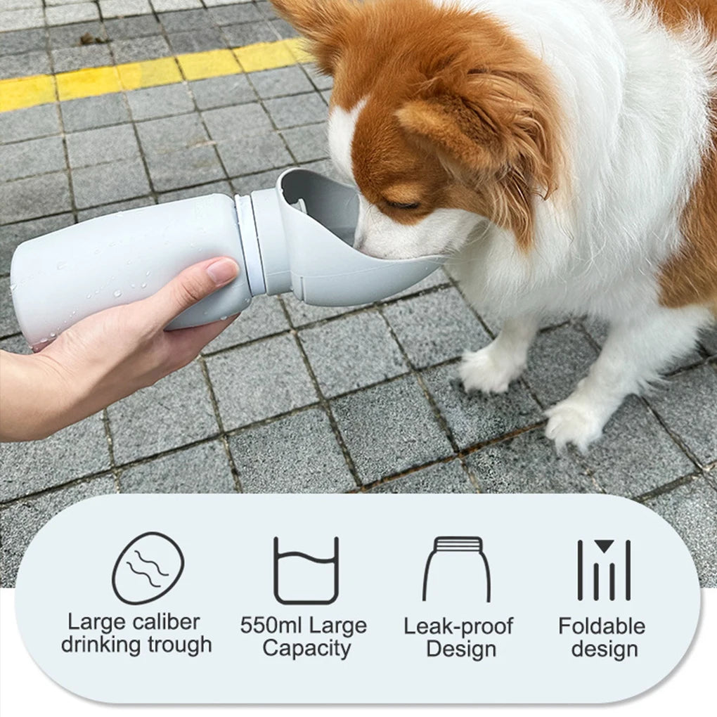 Collapsible Pet Water Bottle for On-the-Go Hydration