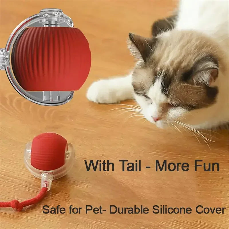 Rechargeable interactive rolling ball for cats and dogs with smart motion, quiet operation, and simulated tail for indoor pet play.