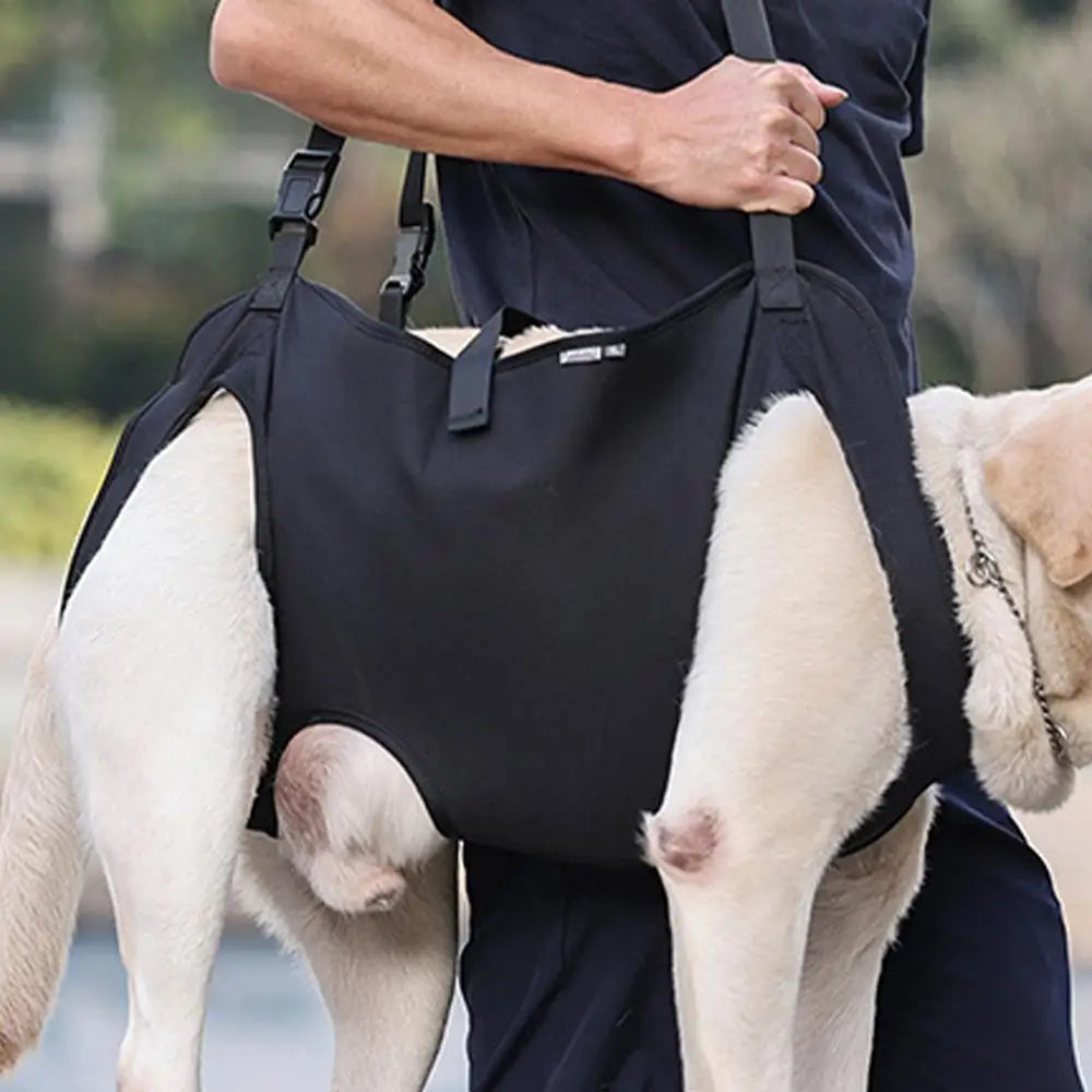Pet Rehabilitation Sling/Carrying Harness for Injured and Elderly Dogs