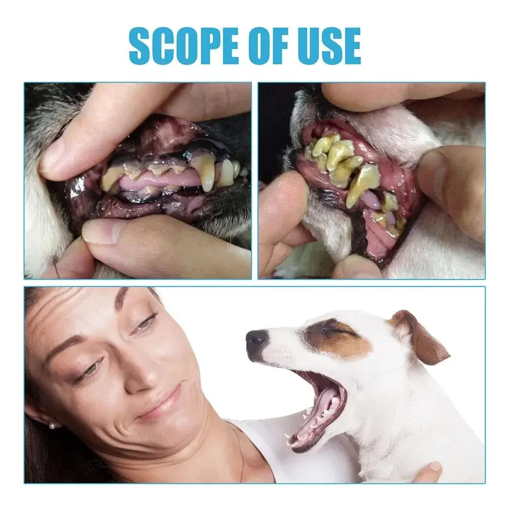 Edible Pet Toothpaste for Cats & Dogs – Fresh Breath & Oral Care without Rinsing