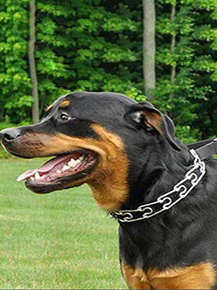 Stainless Steel Prong Pinch Dog Collar with Quick Release – Adjustable No-Pull Training Collar