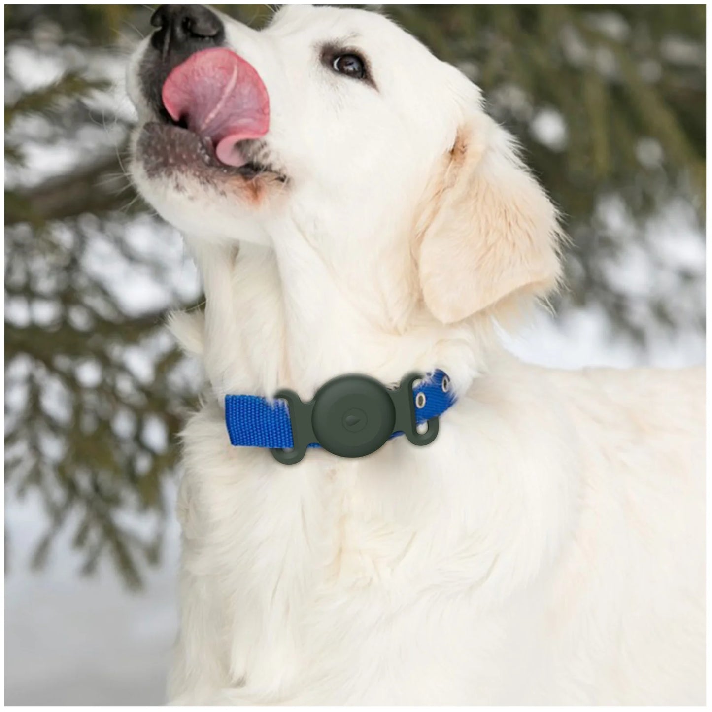 Durable Silicone Airtag Case for Pet Collars – Apple Airtag Compatible, Waterproof & Flexible Fit