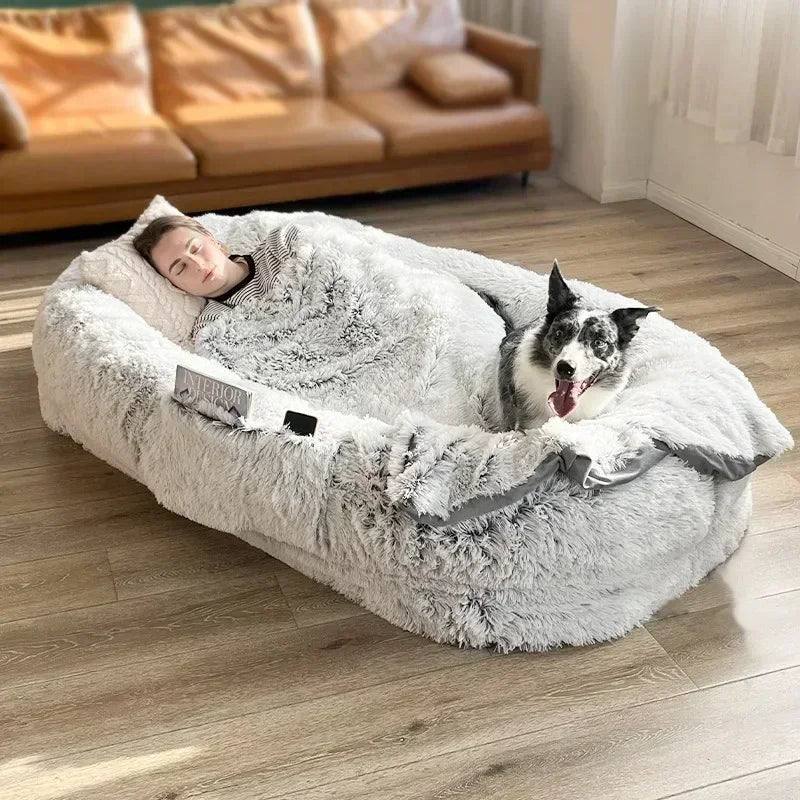 Cozy Comfort