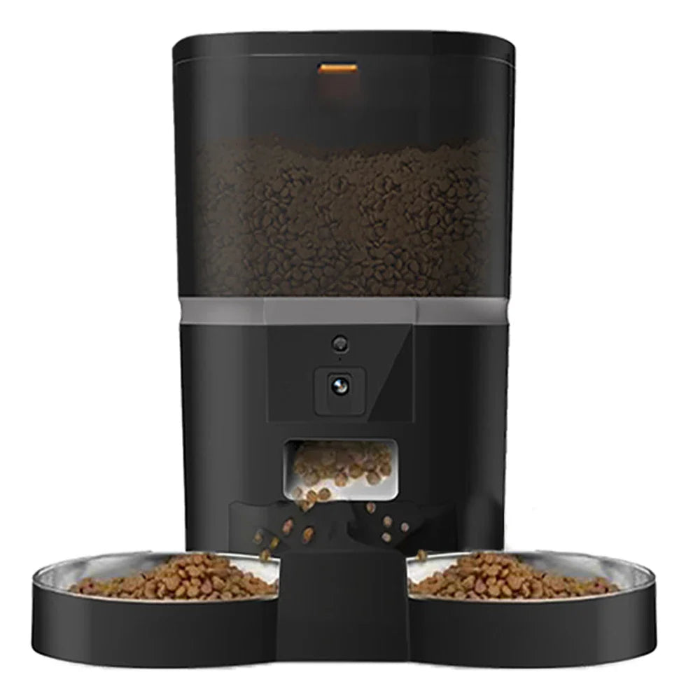 Feed & Fountain