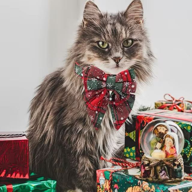 Christmas Dog Collar with Festive Bow – Adjustable &amp; Safe