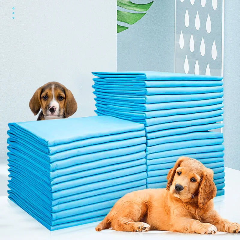 Super Absorbent Disposable Pet Pads – Leakproof &amp; Convenient