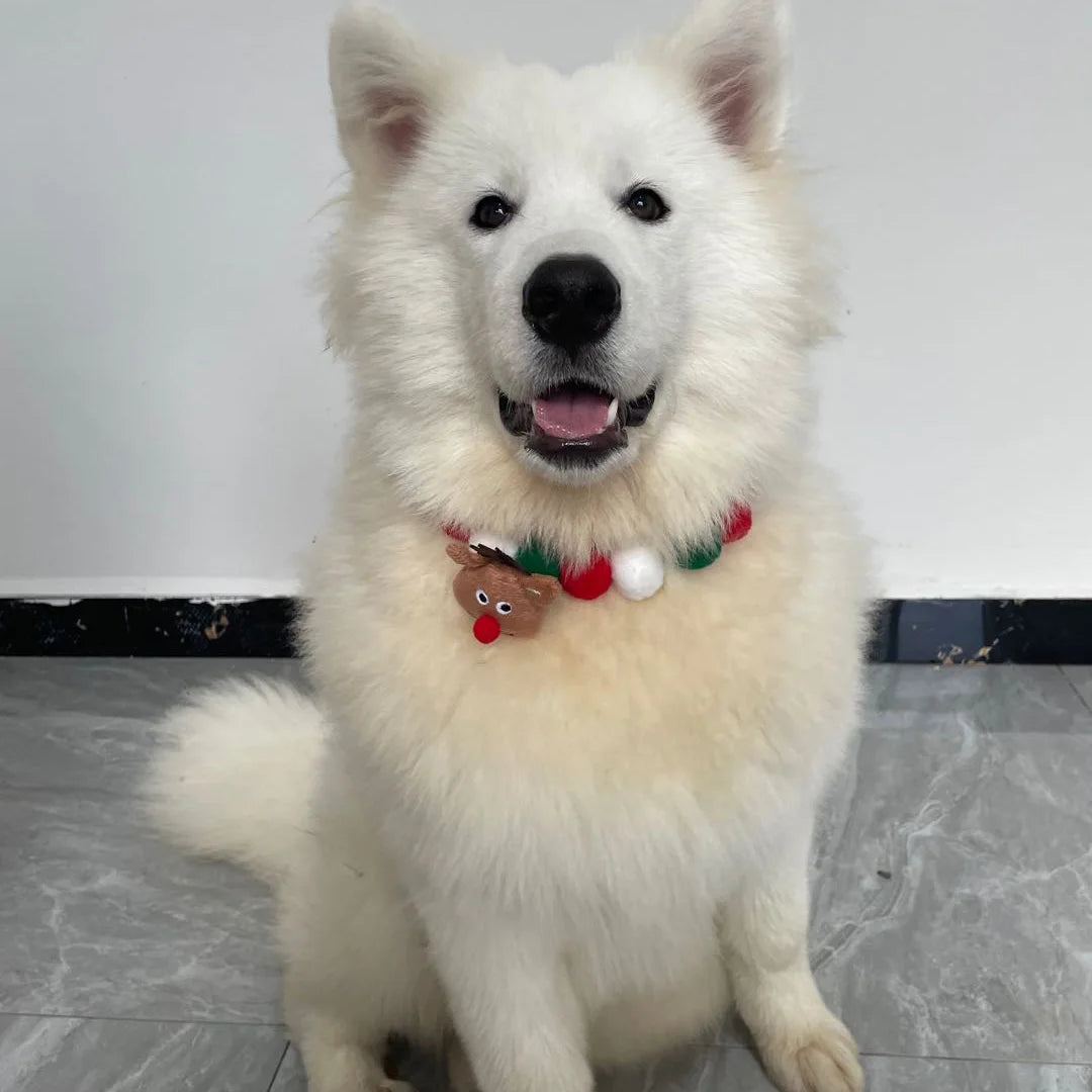 12-Piece Christmas Pet Bow Tie Set – Festive and Stylish Accessories