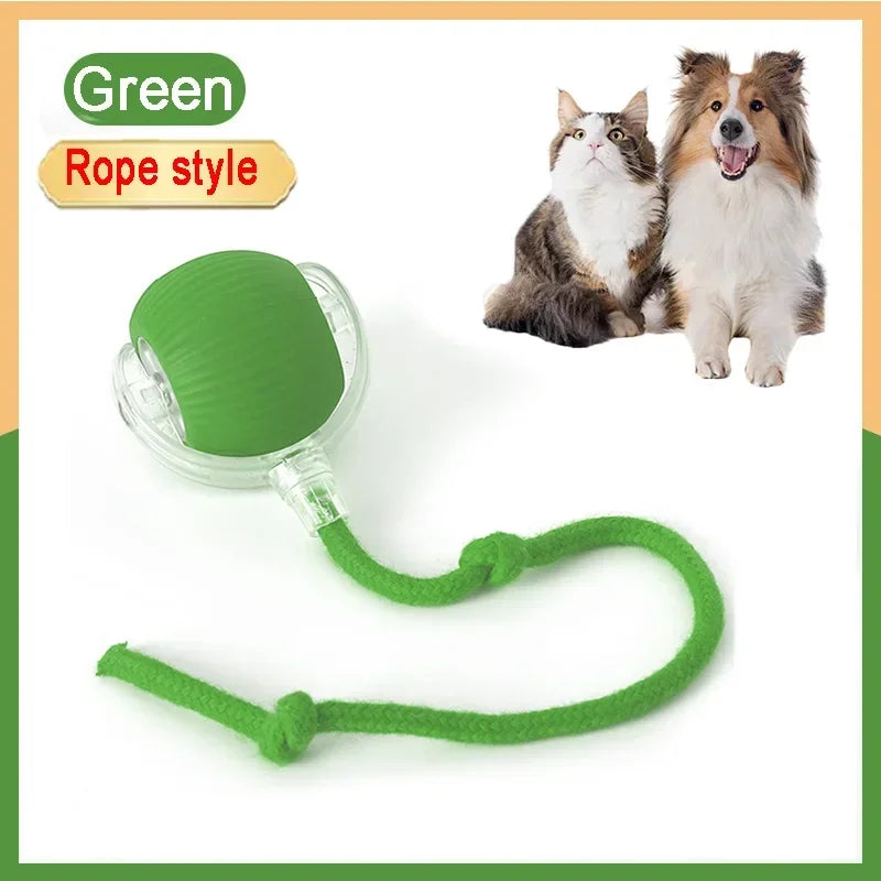 Rechargeable Interactive Rolling Ball for Cats &amp; Dogs – Smart Motion, Quiet Play, and Simulated Tail