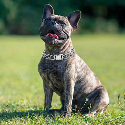 Stainless Steel Prong Pinch Dog Collar with Quick Release – Adjustable No-Pull Training Collar