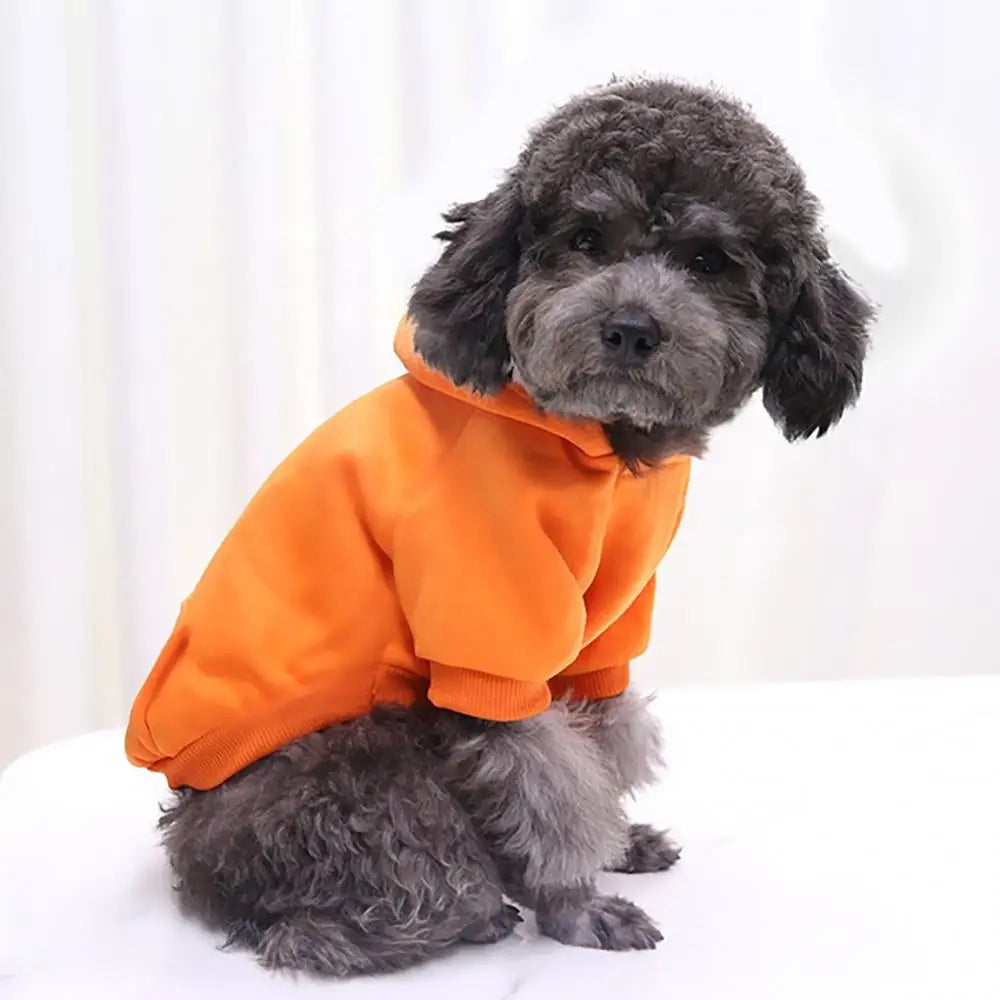 Puppy Pet Hooded Sweatshirt with Pocket for Autumn/Winter