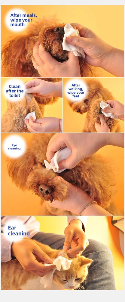Pet-Specific Wet Wipes for Cats and Dogs – Odor-Eliminating Bottom Cleaning Wipes (100 Sheets)