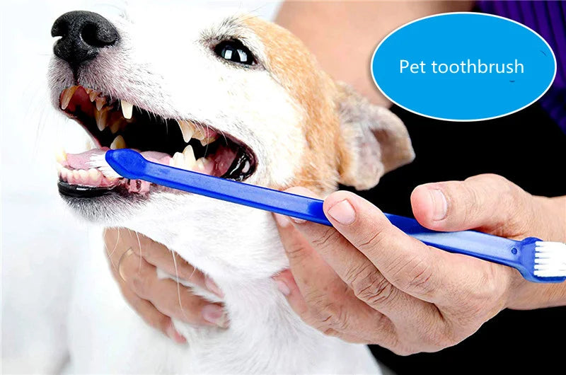 Dual-Ended Pet Toothbrush with Large &amp; Small Heads for Thorough Oral Hygiene