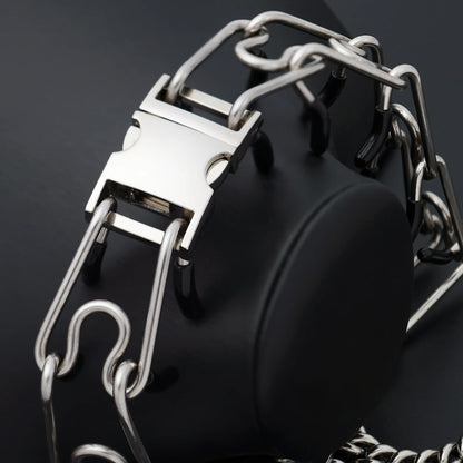 Stainless Steel Prong Pinch Dog Collar with Quick Release – Adjustable No-Pull Training Collar