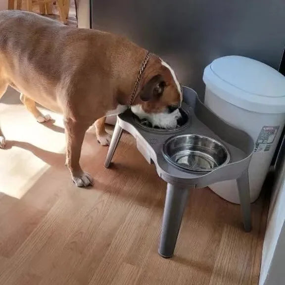 Elevated Pet Feeding Table with Dual Bowls – Comfortable &amp; Spill-Resistant