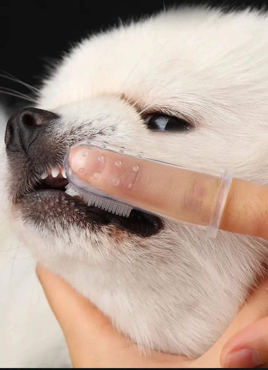 Portable Finger Toothbrush for Pets – Lightweight &amp; Easy to Clean