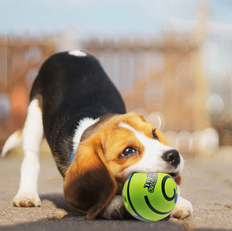 Interactive Squeaky Giggle Ball Toy for Dogs – Fun Sounds, No Batteries Needed