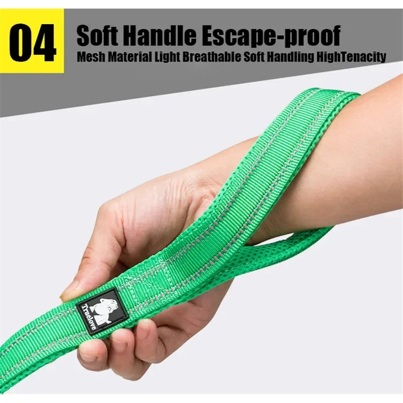 Durable 3M Reflective Dog Leash with Padded Comfort