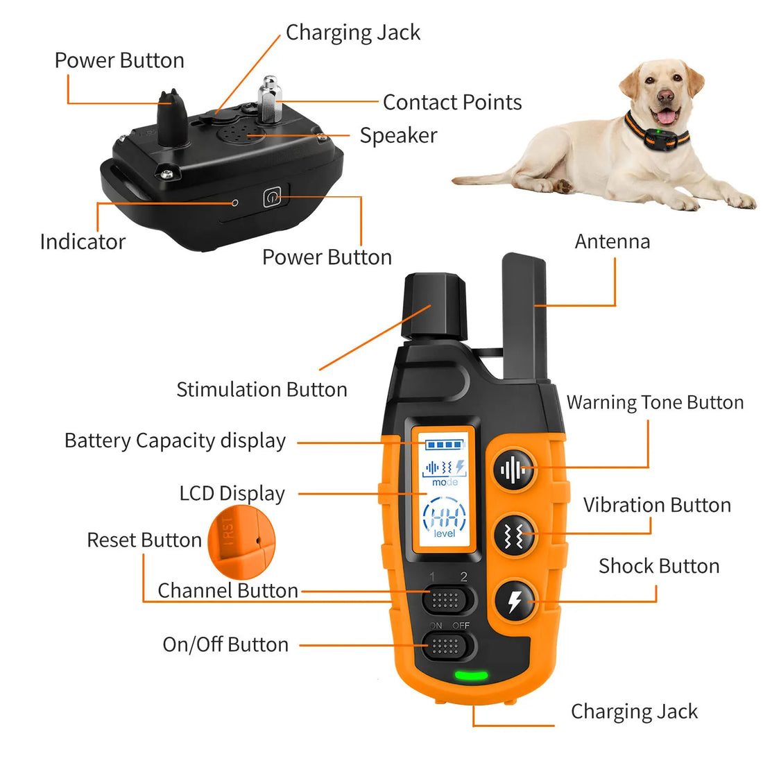 3300FT waterproof rechargeable dog training collar with remote, featuring beep, vibration, and shock modes for small, medium, and large dogs.