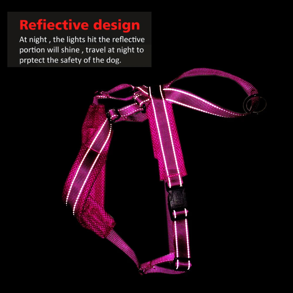 Durable Reflective Dog Halter Harness with Secure Fit