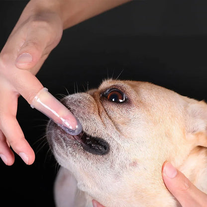 Portable Finger Toothbrush for Pets – Lightweight &amp; Easy to Clean