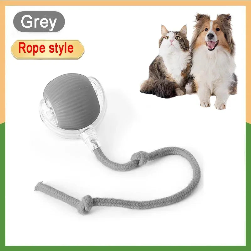 Rechargeable Interactive Rolling Ball for Cats &amp; Dogs – Smart Motion, Quiet Play, and Simulated Tail