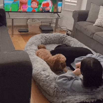 Super Large Plush Dog Sofa Bed in gray color with waterproof, washable cover and raised sides, perfect for large dogs lounging comfortably.

