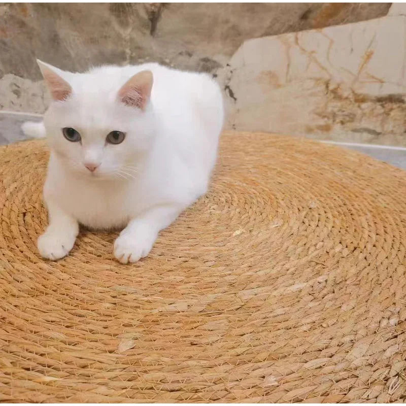 Round Rattan Cat Scratch Mat – Natural Woven Pad with Optional Teaser Ball