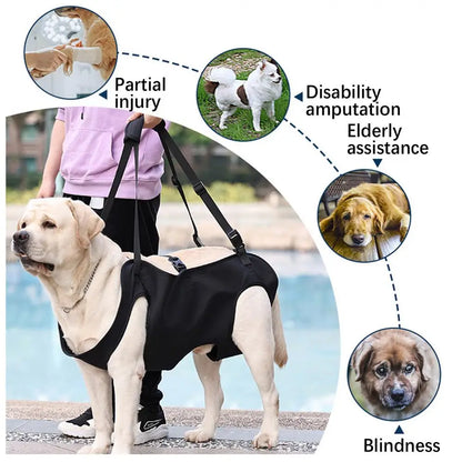Pet Rehabilitation Sling/Carrying Harness for Injured and Elderly Dogs