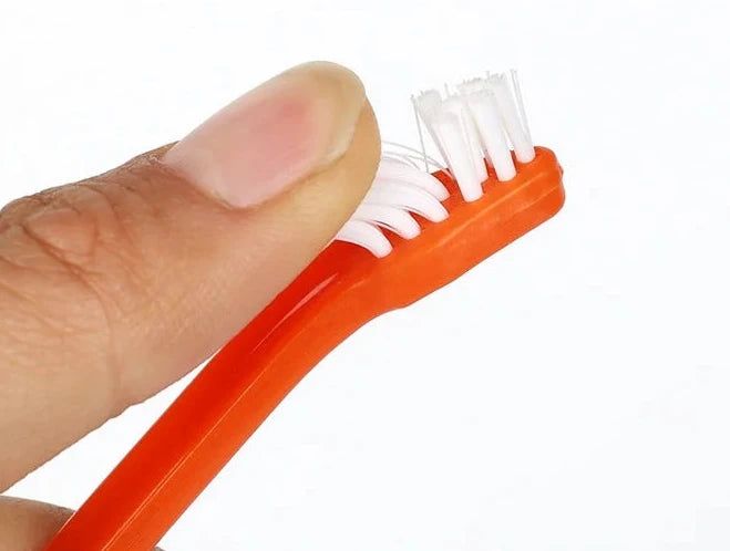 Durable Pet Toothbrush Set – 10 Pieces, Gentle and Strong