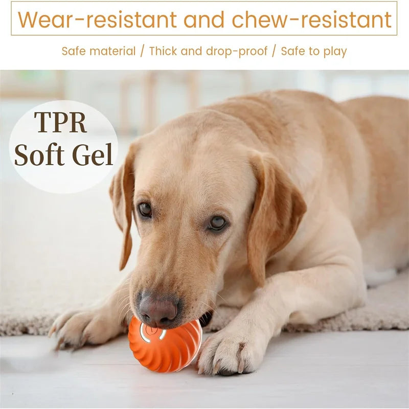 Smart Interactive Jump Ball for Pets – Motion-Activated &amp; Chew-Resistant
