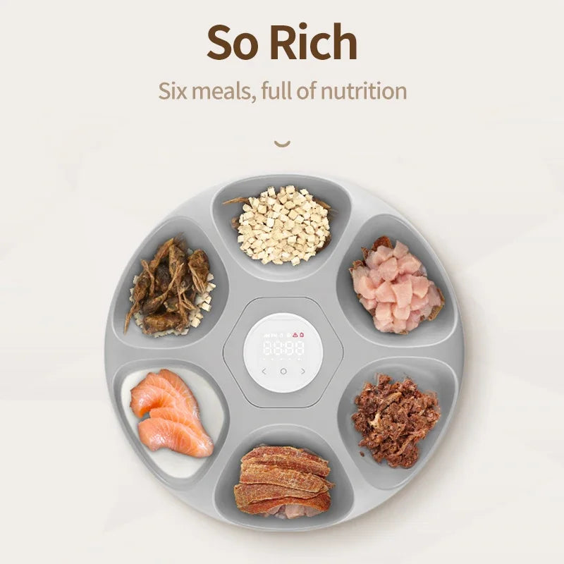 6-Meal Smart Pet Feeder – App-Controlled, Automatic, &amp; Keeps Food Fresh