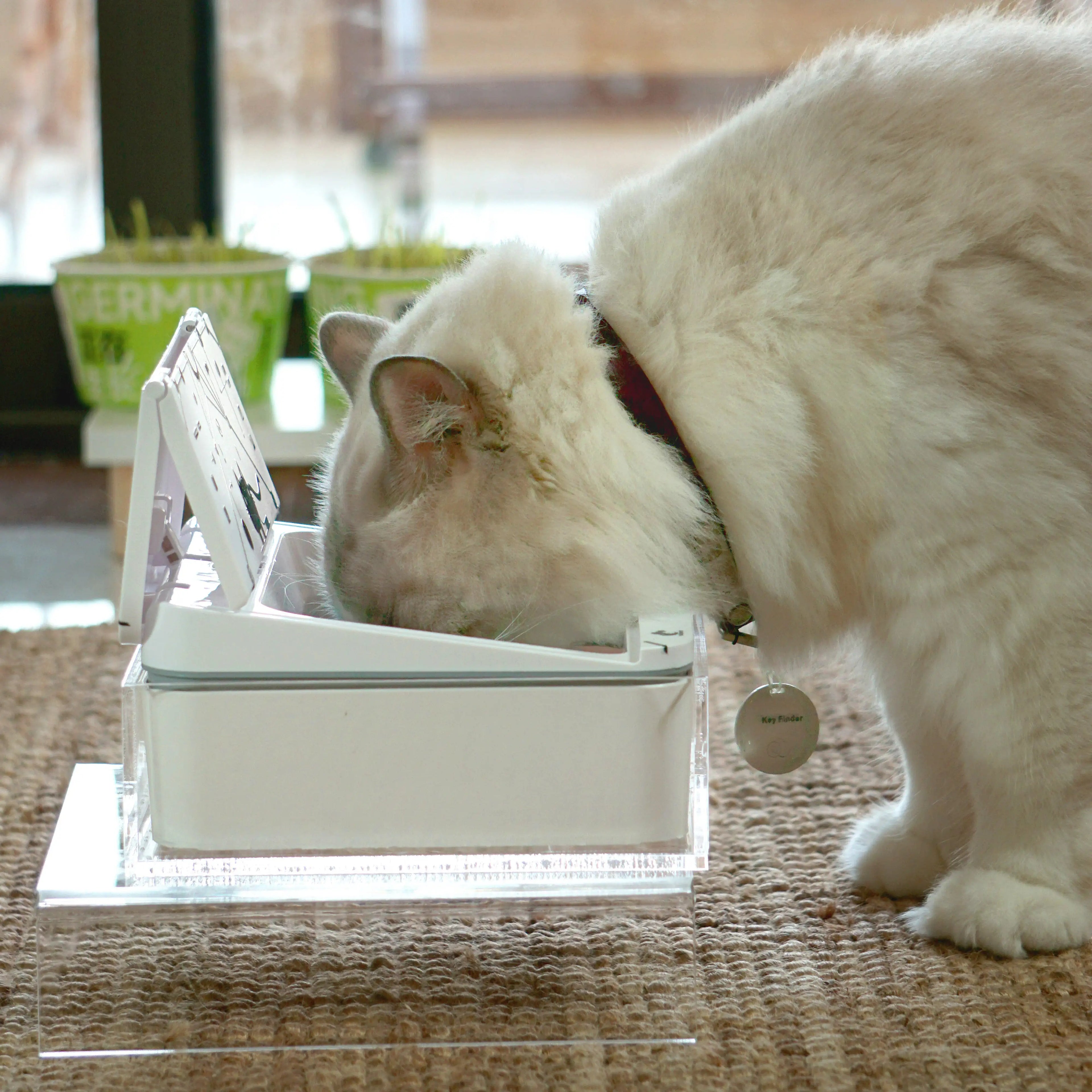 Smart RFID Cat Feeder – Automatic, Rechargeable &amp; Infrared-Sensing