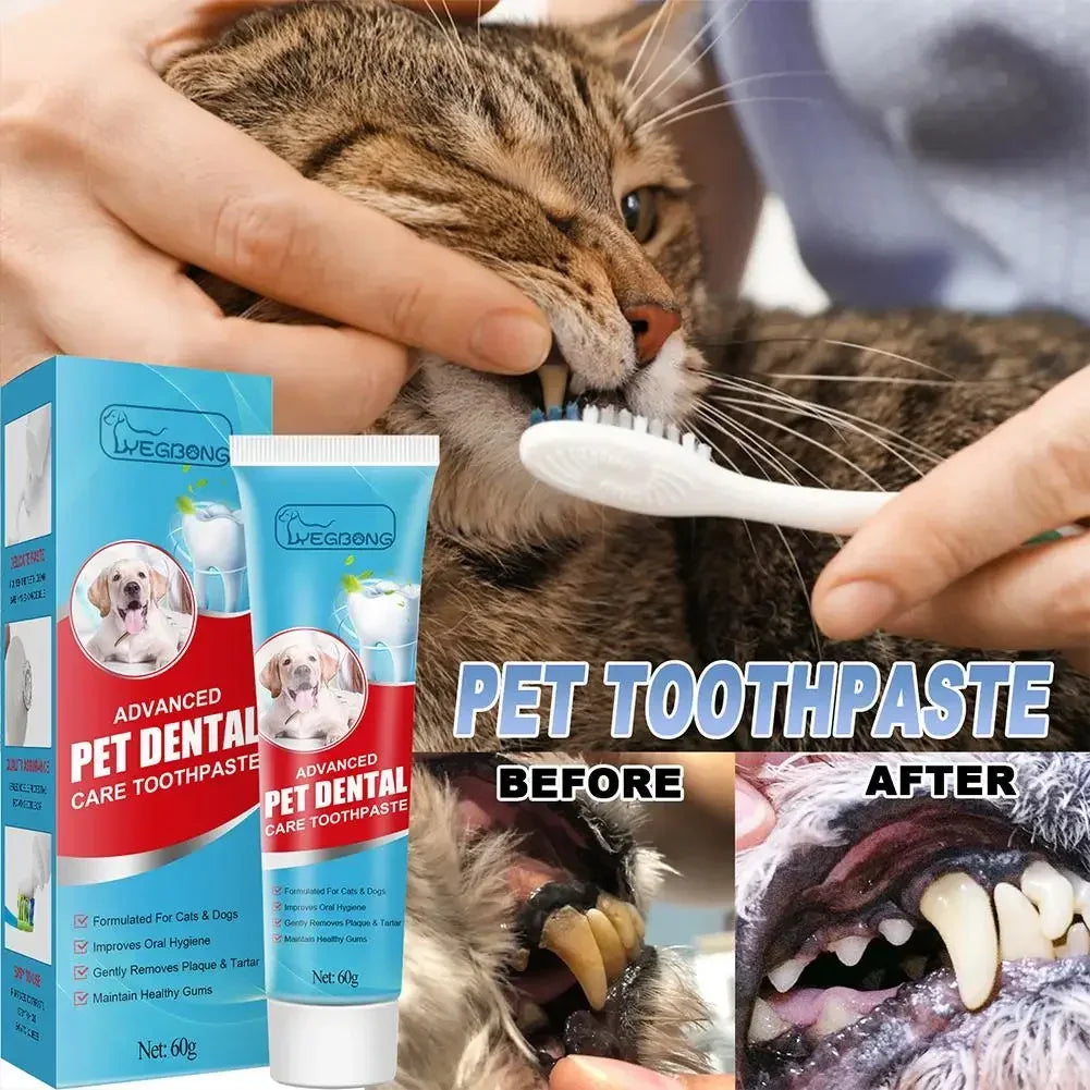 Edible pet toothpaste for cats and dogs in a tube, safe for daily use, with enzymatic formula and no-rinse application for fresh breath and clean teeth.

