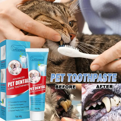 Edible pet toothpaste for cats and dogs in a tube, safe for daily use, with enzymatic formula and no-rinse application for fresh breath and clean teeth.

