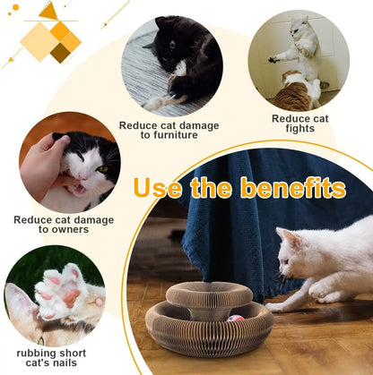 Magic Organ Cat Scratcher – Transformable Corrugated Toy for Claw Care &amp; Interactive Play