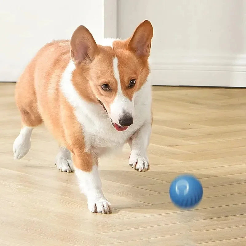 Smart Interactive Jump Ball for Pets – Motion-Activated &amp; Chew-Resistant