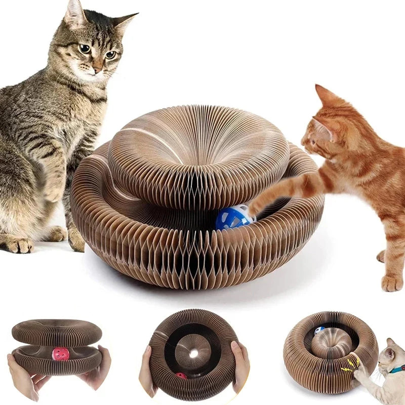 Magic Organ Cat Scratcher – Transformable Corrugated Toy for Claw Care &amp; Interactive Play