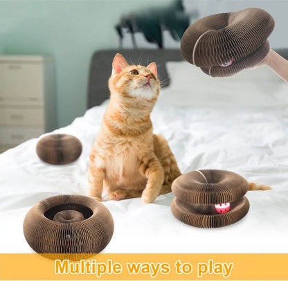 Magic Organ Cat Scratcher – Transformable Corrugated Toy for Claw Care &amp; Interactive Play