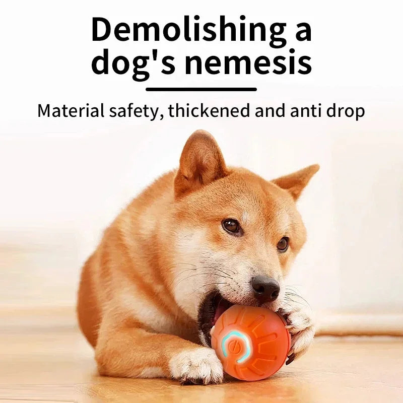 Smart Interactive Jump Ball for Pets – Motion-Activated &amp; Chew-Resistant