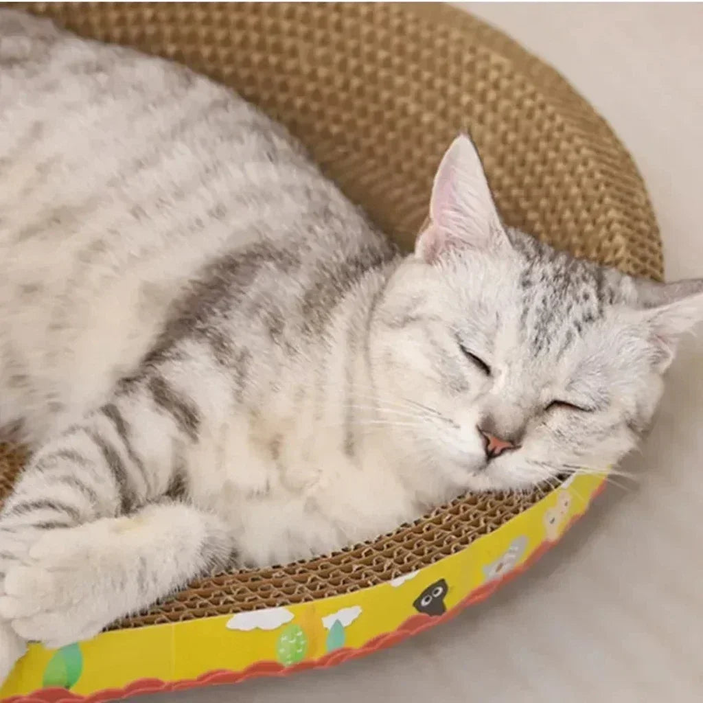 Oval Corrugated Cat Scratching Board – Claw Grinder, Bed &amp; Toy in One