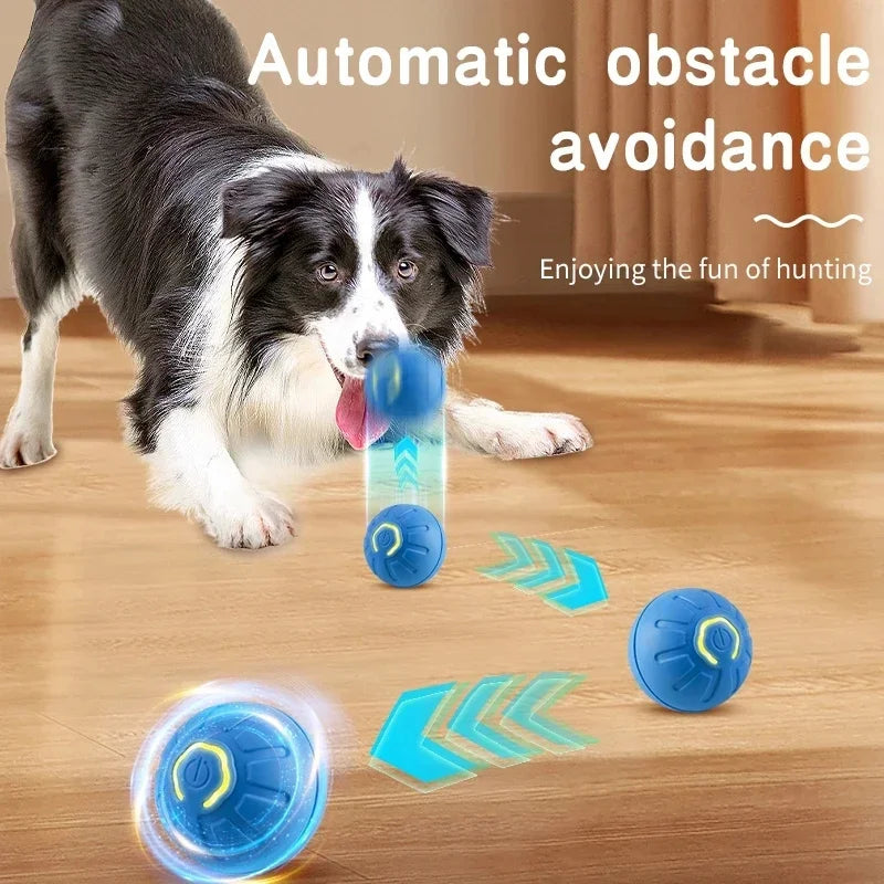 Smart Interactive Jump Ball for Pets – Motion-Activated &amp; Chew-Resistant