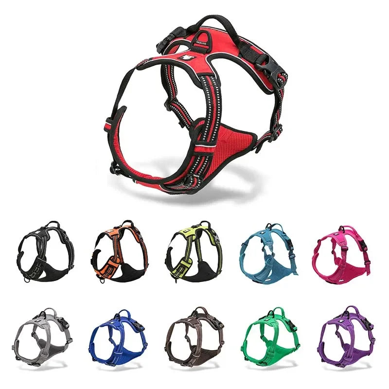 Durable 3M Reflective Dog Vehicle Harness with Secure Fit