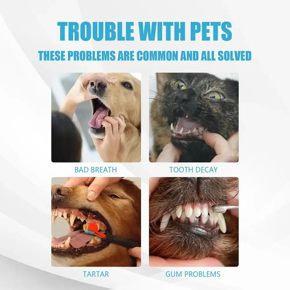 Edible Pet Toothpaste for Cats &amp; Dogs – Fresh Breath &amp; Oral Care without Rinsing