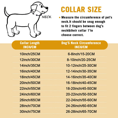 Heavy-Duty Dog Chain Collar – Stainless Steel Choke Slip Collar for Training &amp; Control