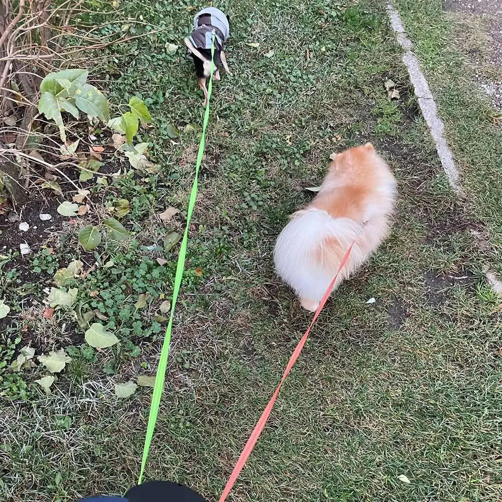 3M Dual Retractable Dog Leash with LED Flashlight &amp; Waste Bag Holder – 360° Tangle-Free Control