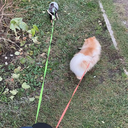 3M Dual Retractable Dog Leash with LED Flashlight &amp; Waste Bag Holder – 360° Tangle-Free Control