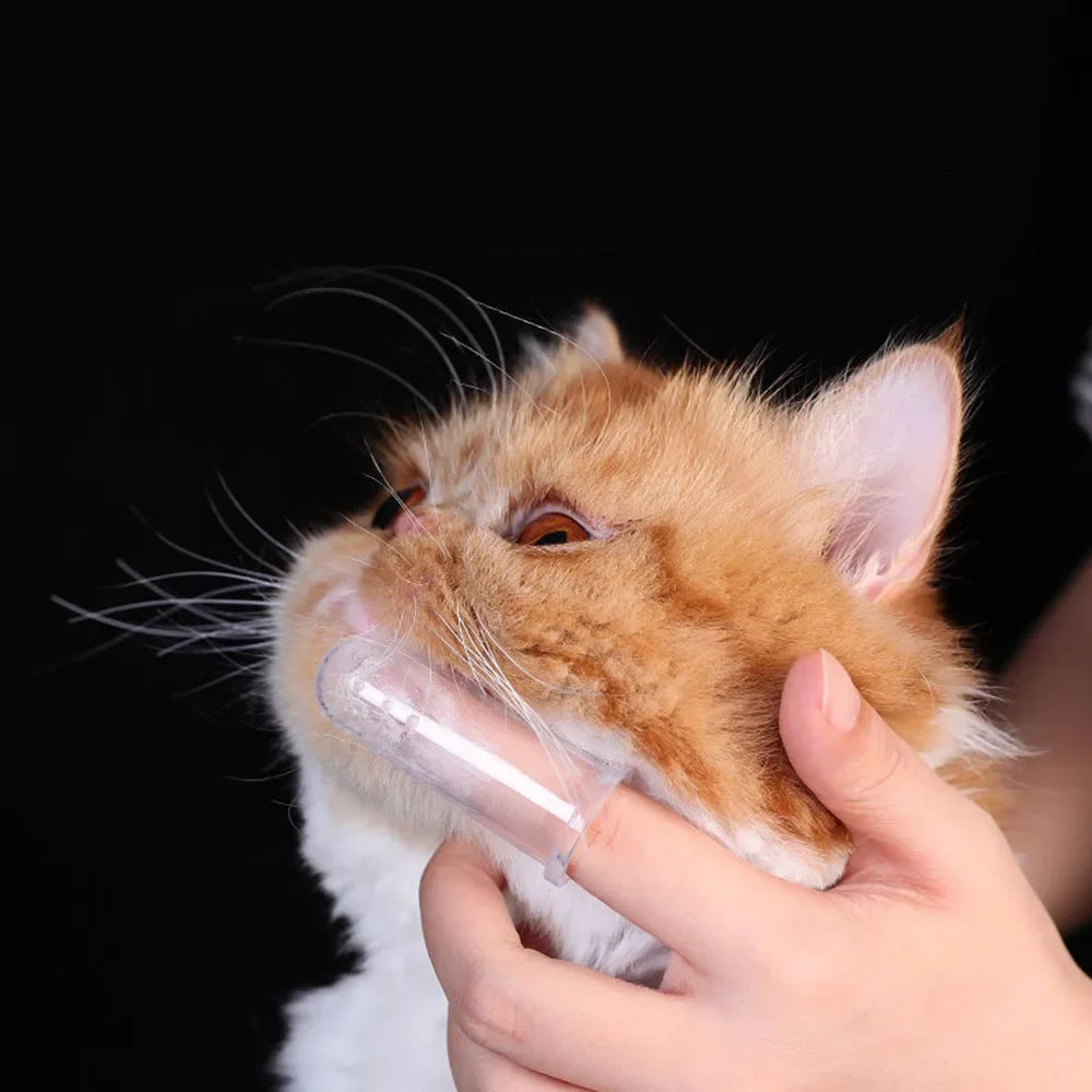 Portable Finger Toothbrush for Pets – Lightweight &amp; Easy to Clean
