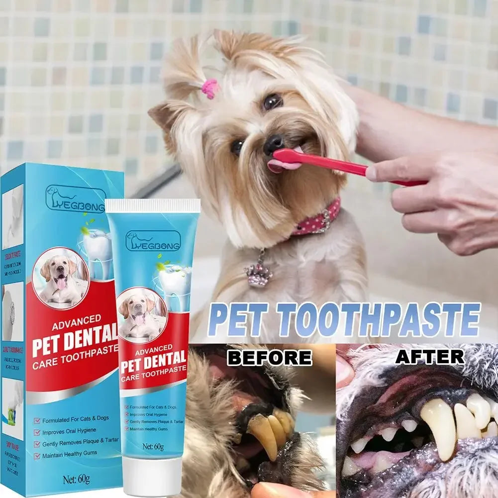 Edible pet toothpaste for cats and dogs in a tube, safe for daily use, with enzymatic formula and no-rinse application for fresh breath and clean teeth.

