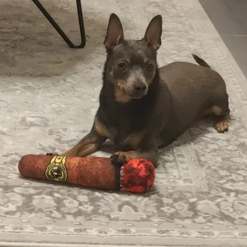 Squeaky Cigar Plush Toy for Dogs – Fun &amp; Chew-Resistant